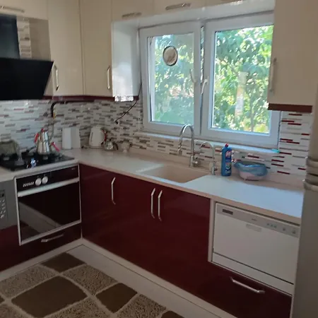 Basar Villa Bursa