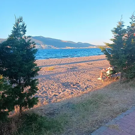 Basar Bursa